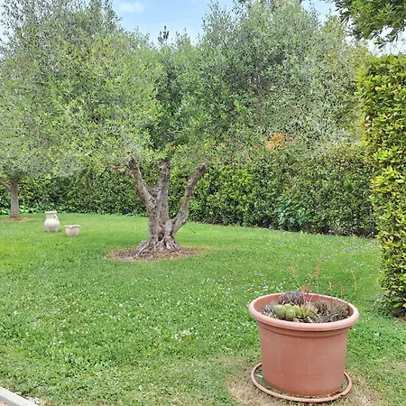 Tre Cerri Di Zanaboni Franca Orbetello